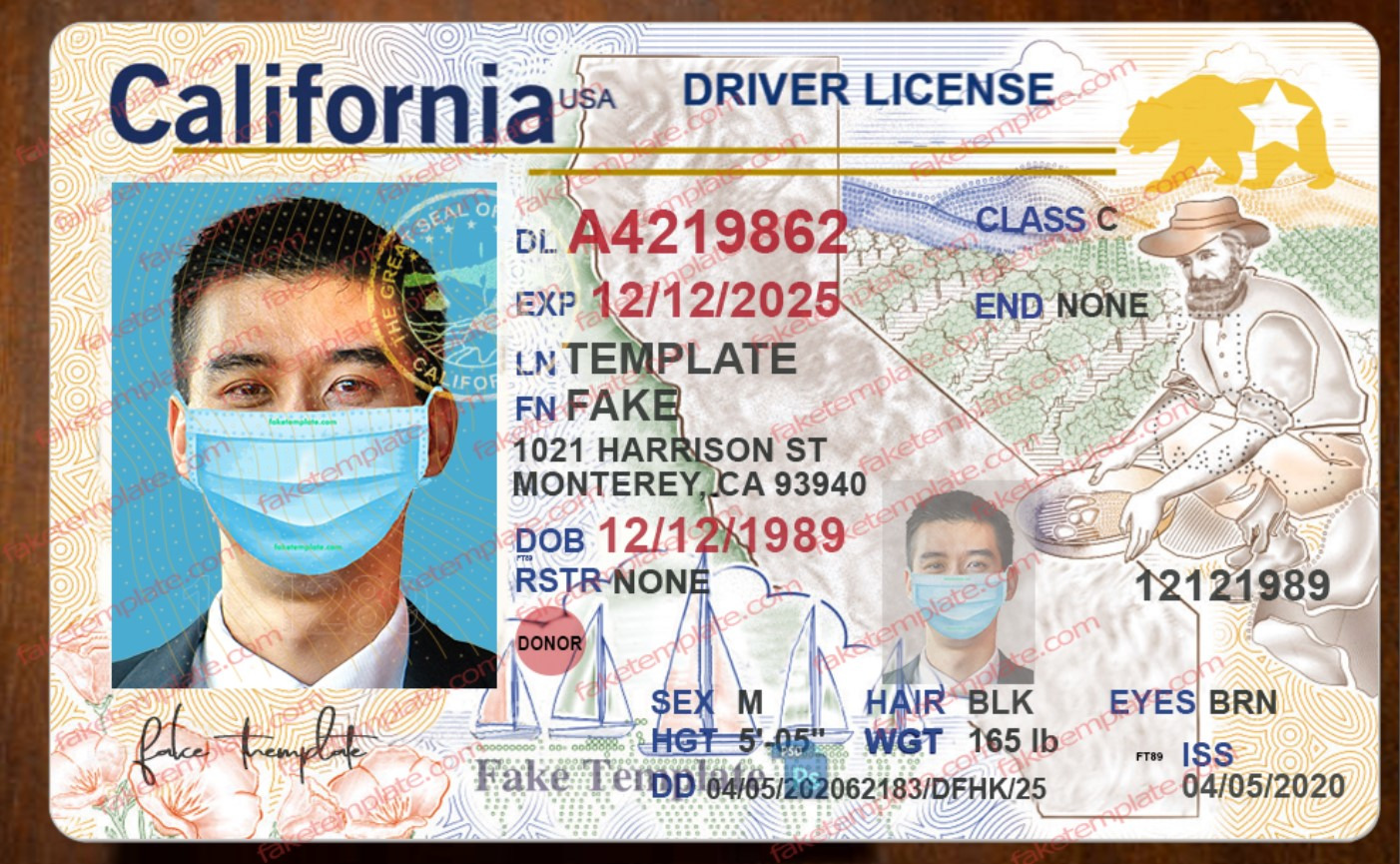 California Driver License Template California Driver License Template