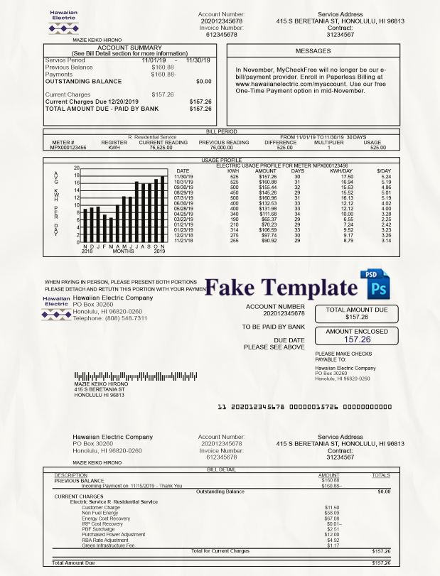 Hawaii Utility Bill Psd Template hawaii-utility-bill-psd-01