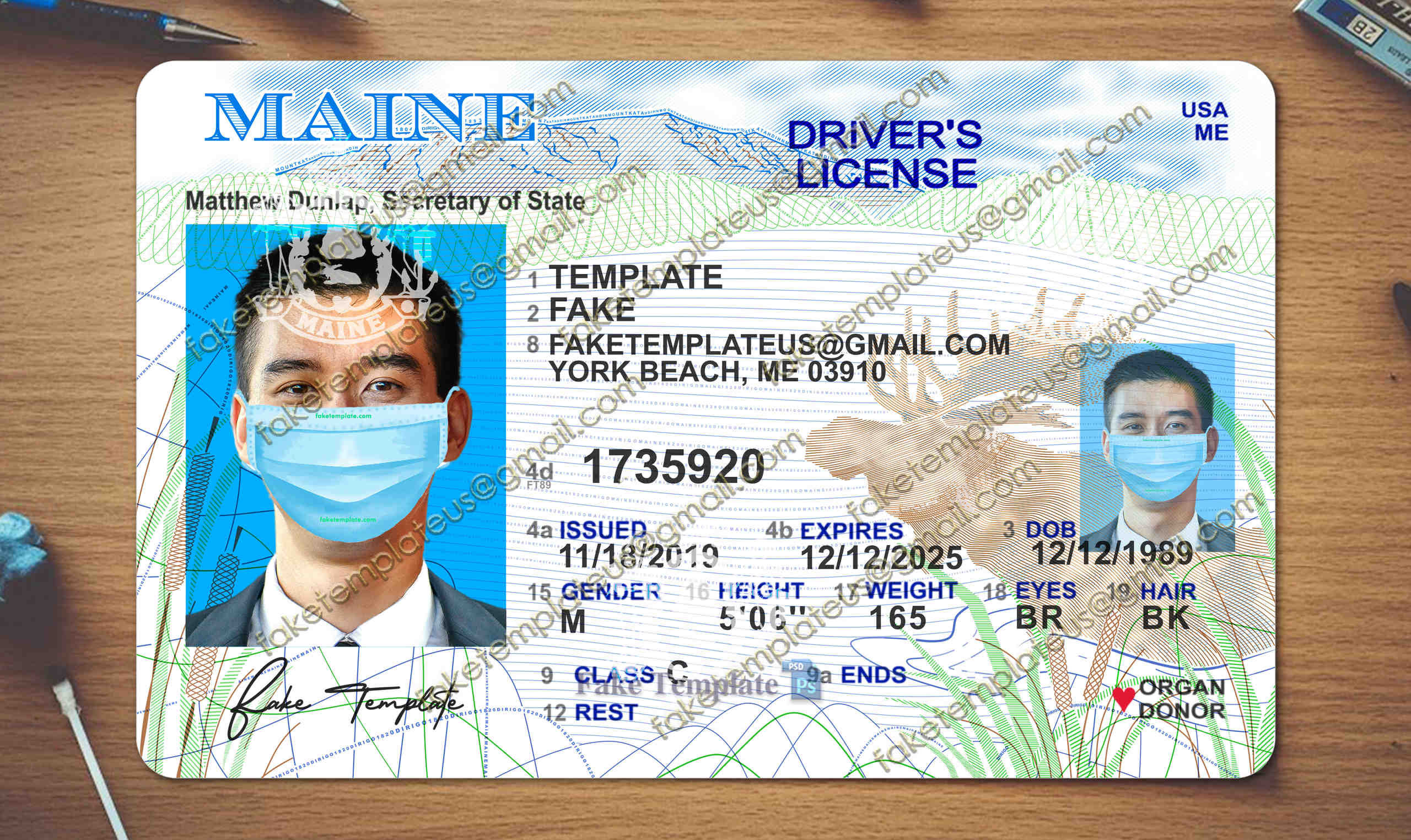maine driver license template maine driver license template
