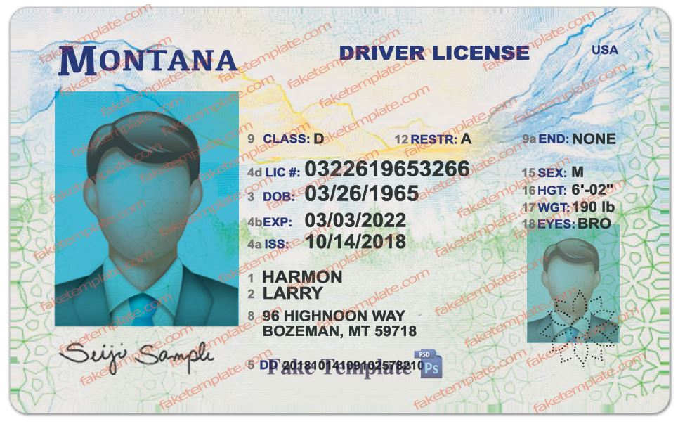 Montana Driver License Template montana-driver-license-template-01