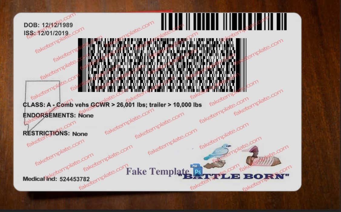 Nevada Drivers License Back nevada-drivers-license-back-03