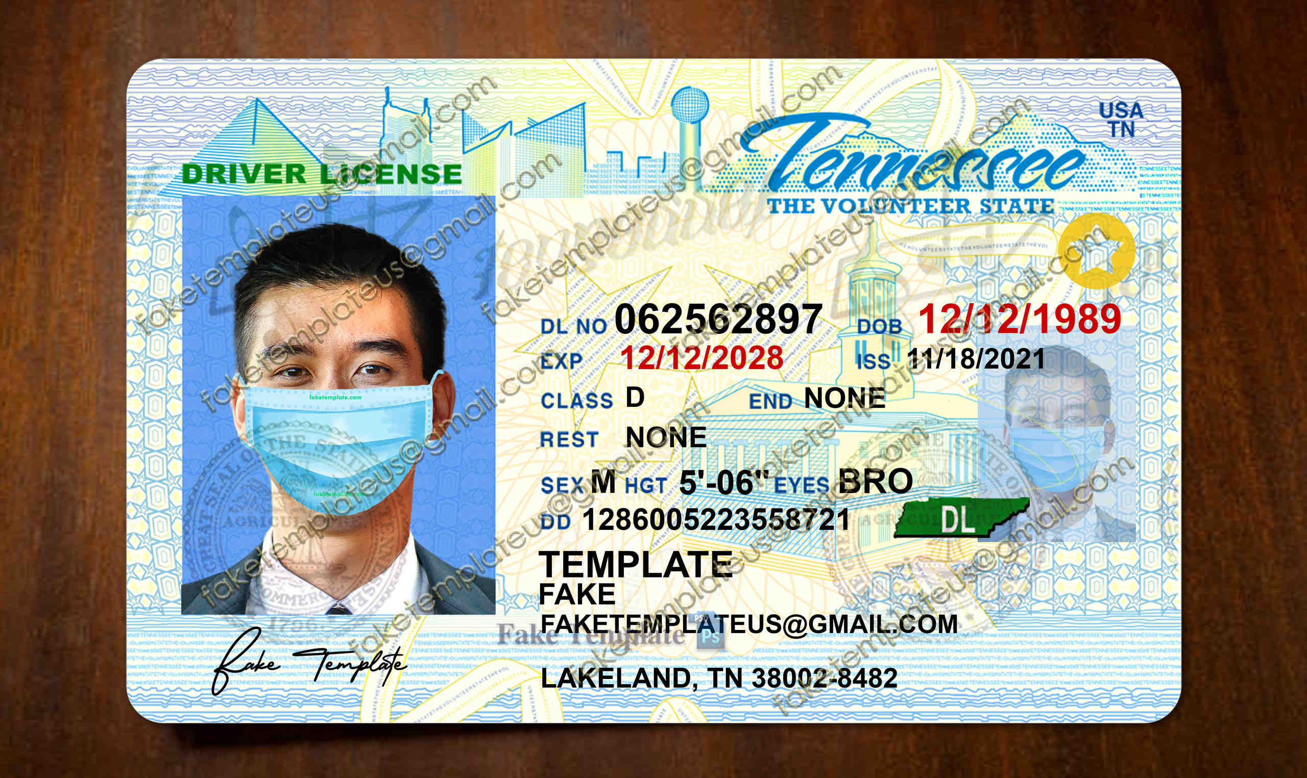 tennessee drivers license template tennessee drivers license template