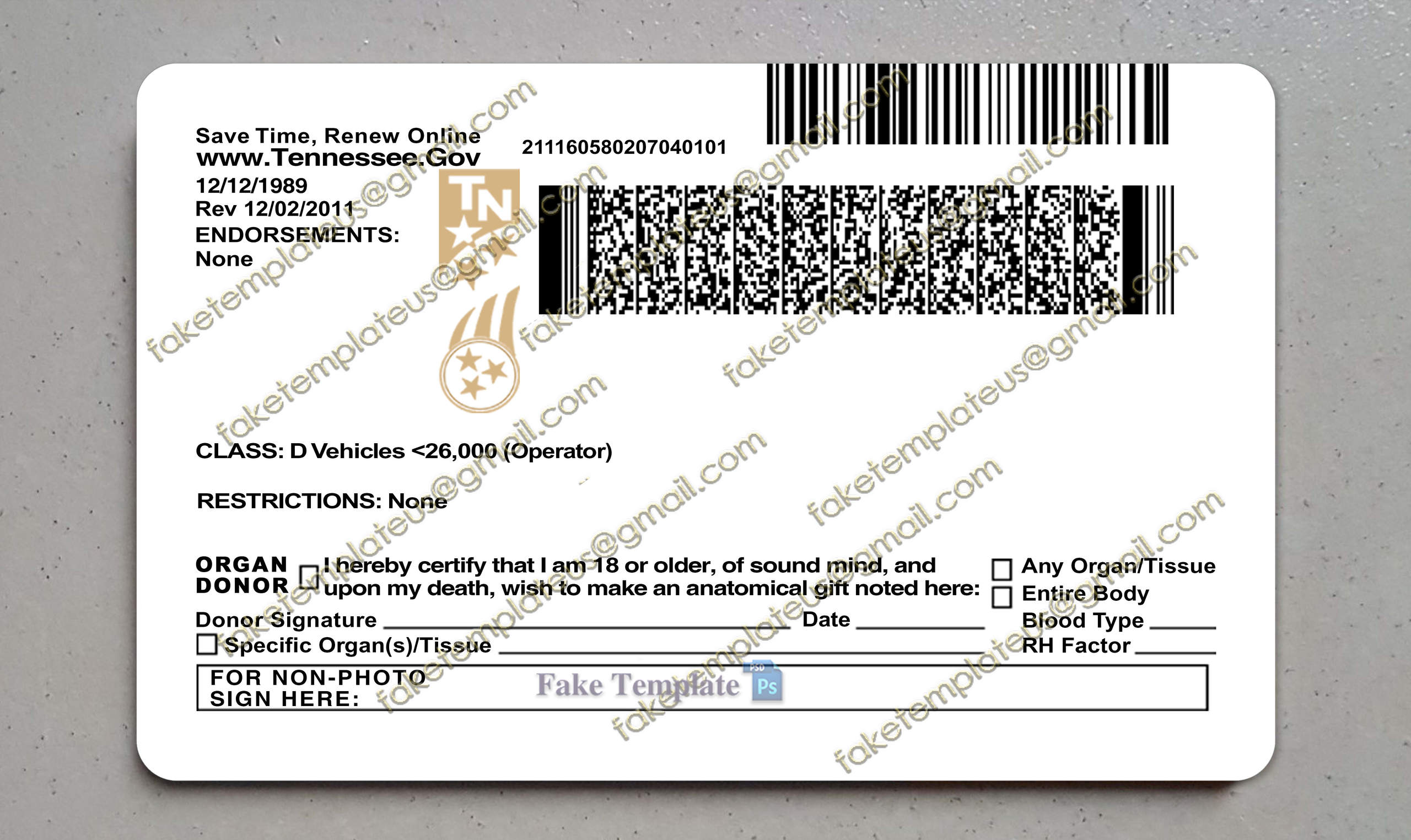 tennessee drivers license back tennessee drivers license back