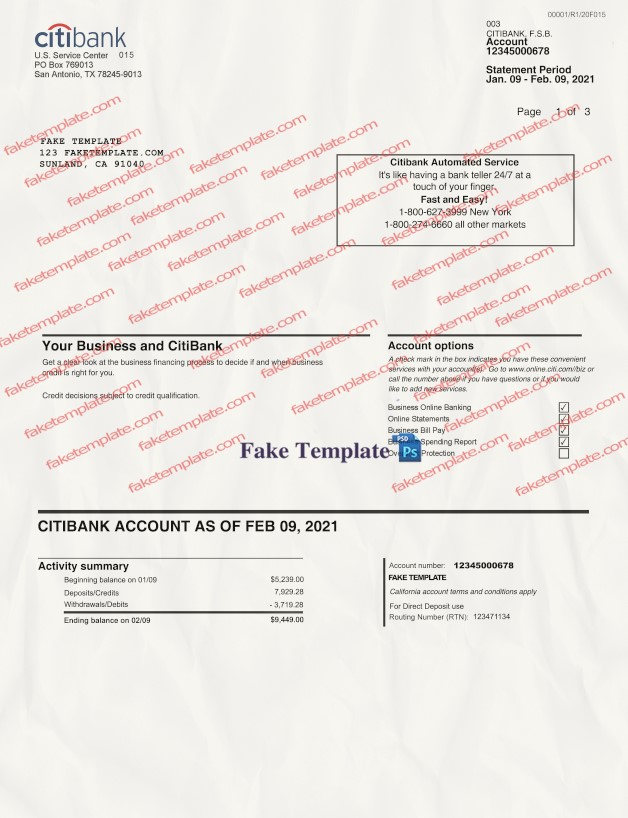 citibank bank statement template citibank statement template 01