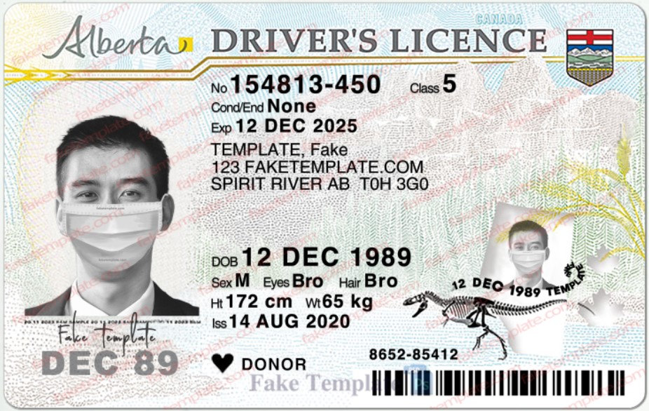 alberta drivers license template alberta drivers license template