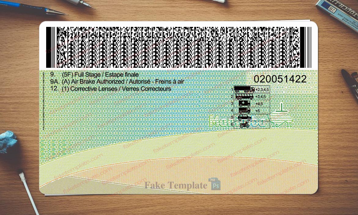 manitoba driver license back manitoba driver license back