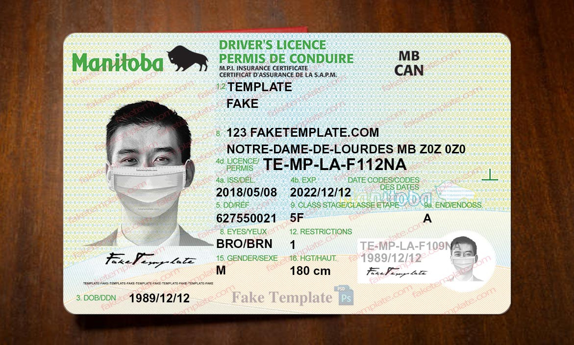 manitoba drivers license template manitoba drivers license template