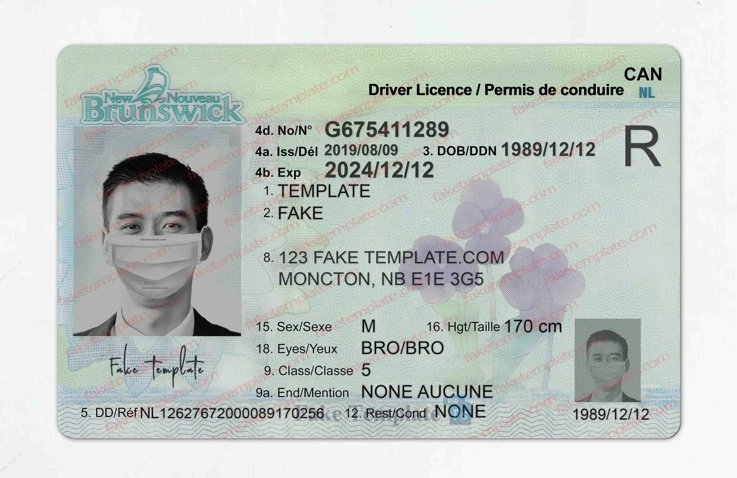 new brunswick drivers license template new brunswick drivers license template