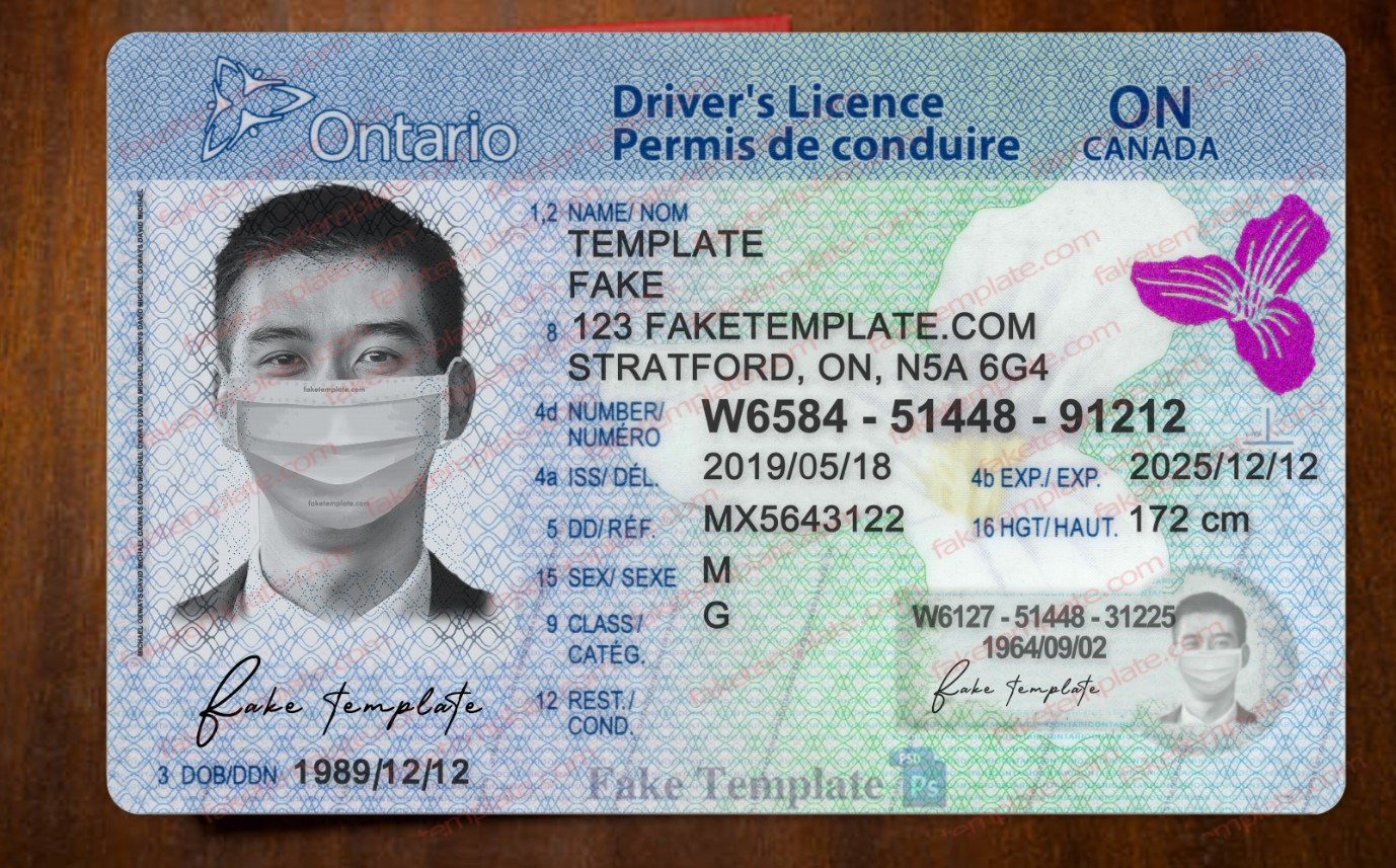 Ontario Drivers License Template Ontario Drivers License Template