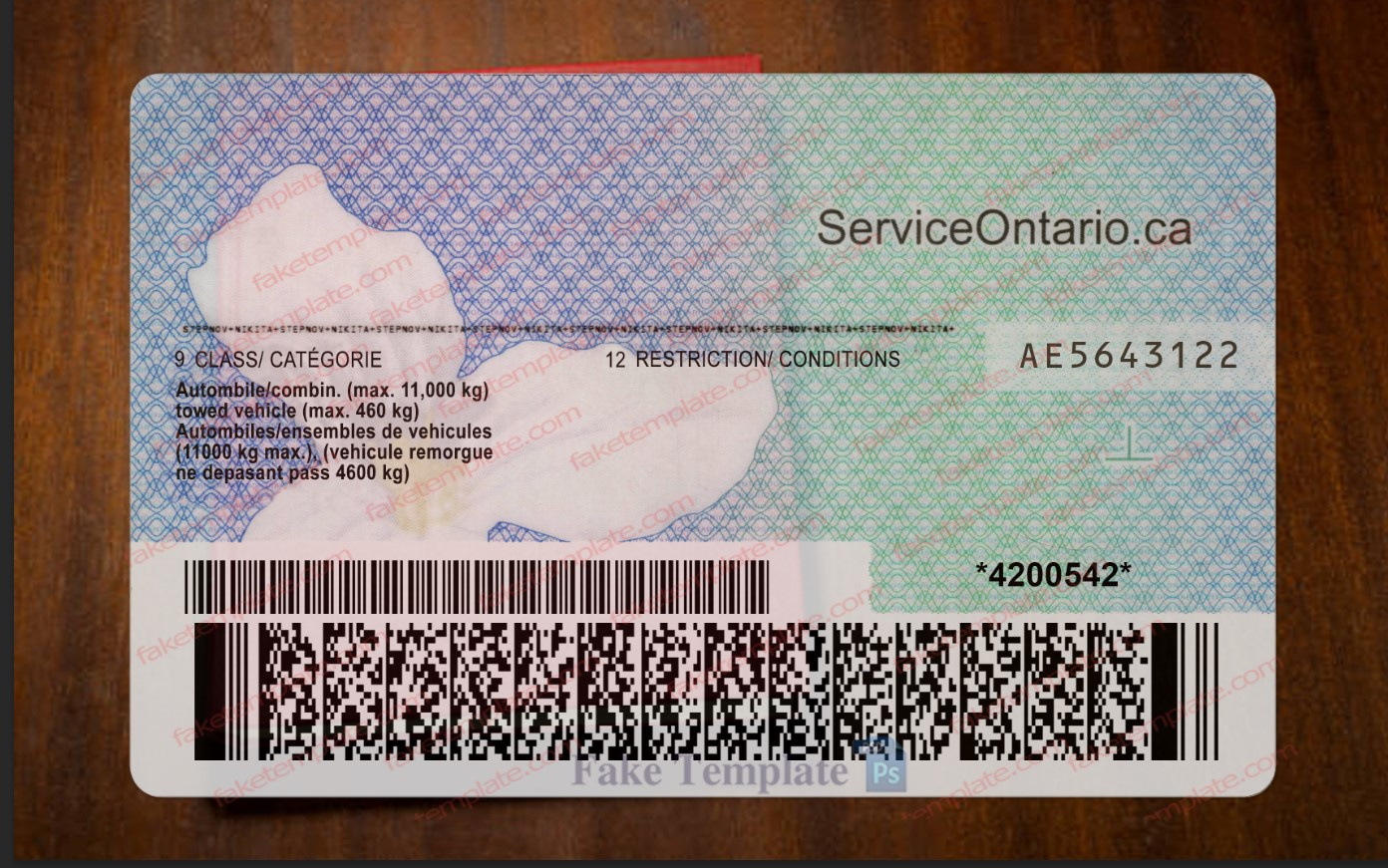 ontario drivers license back ontario drivers license back