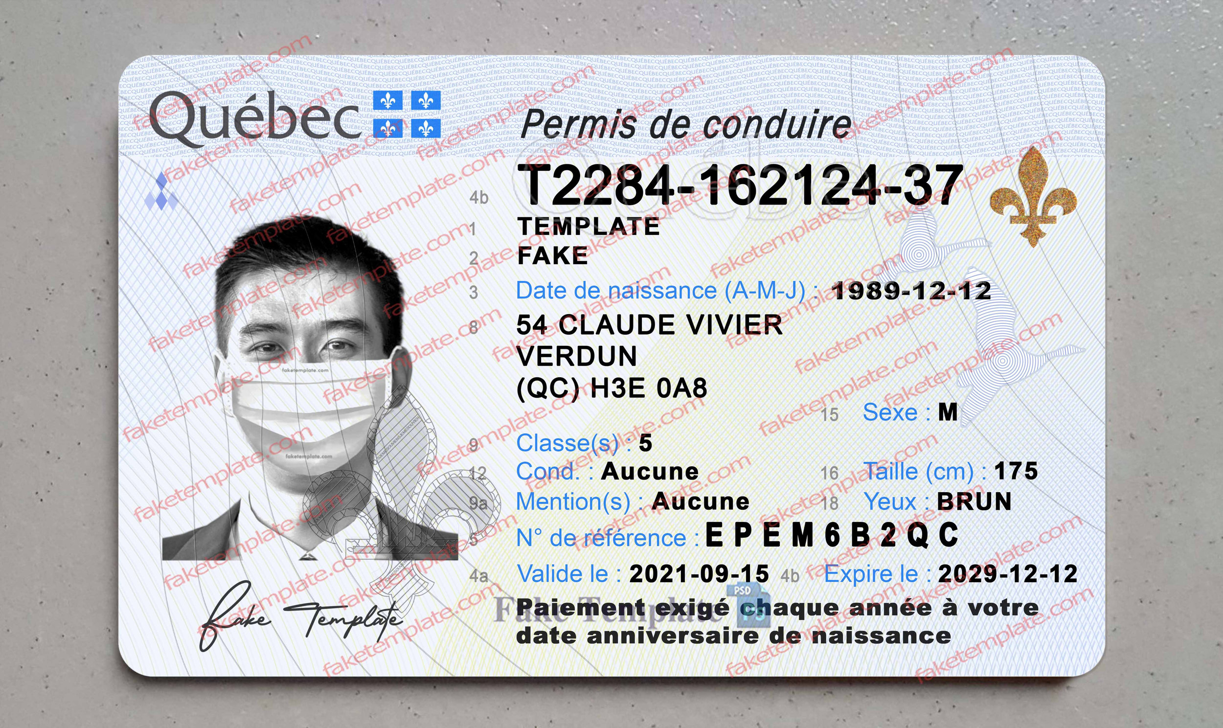 quebec drivers license template quebec drivers license template