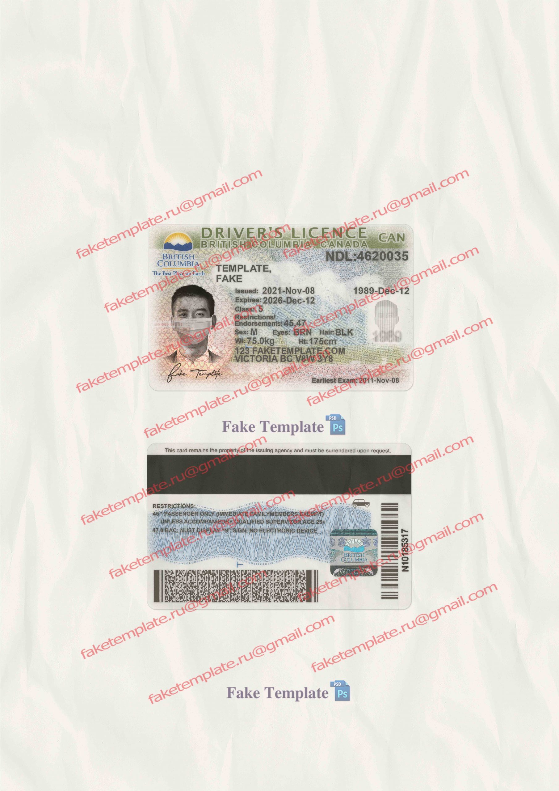 british columbia driver license template british columbia driver license template