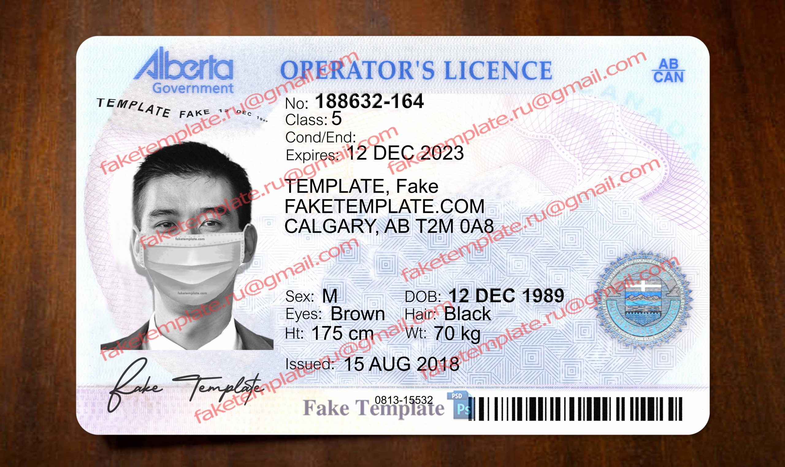 blank alberta drivers license template blank alberta drivers license template
