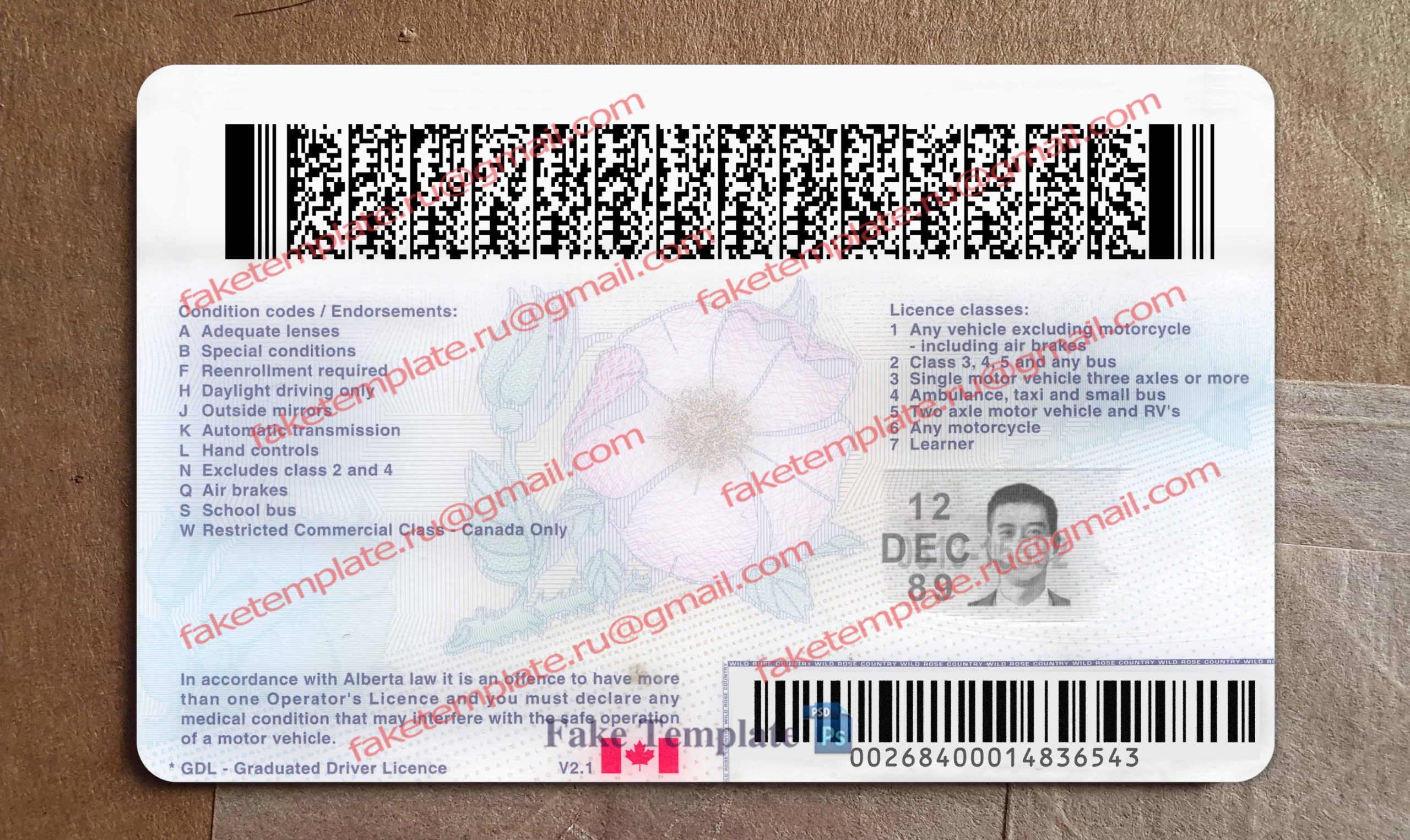alberta drivers license back alberta drivers license back