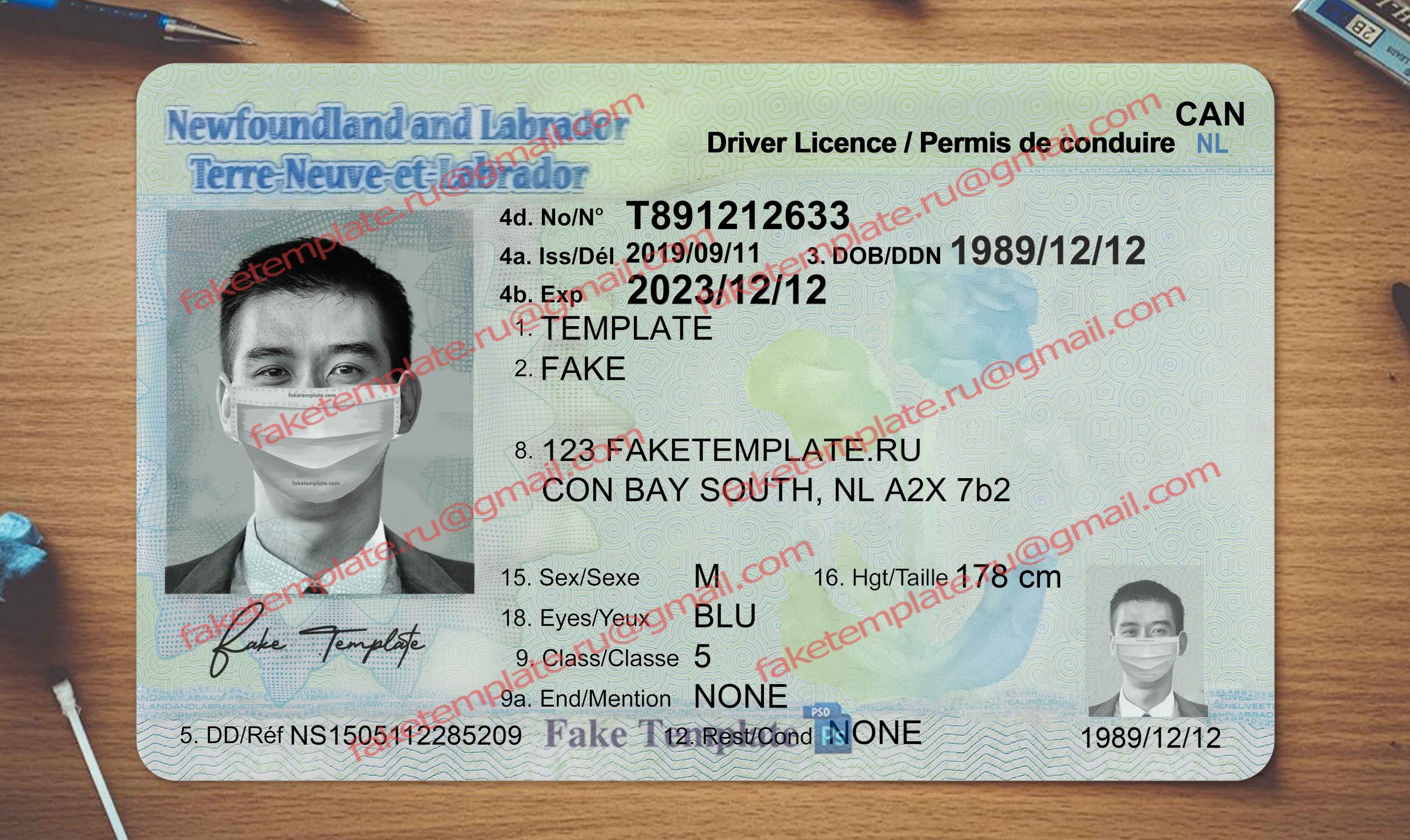 newfoundland driver license template newfoundland driver license template