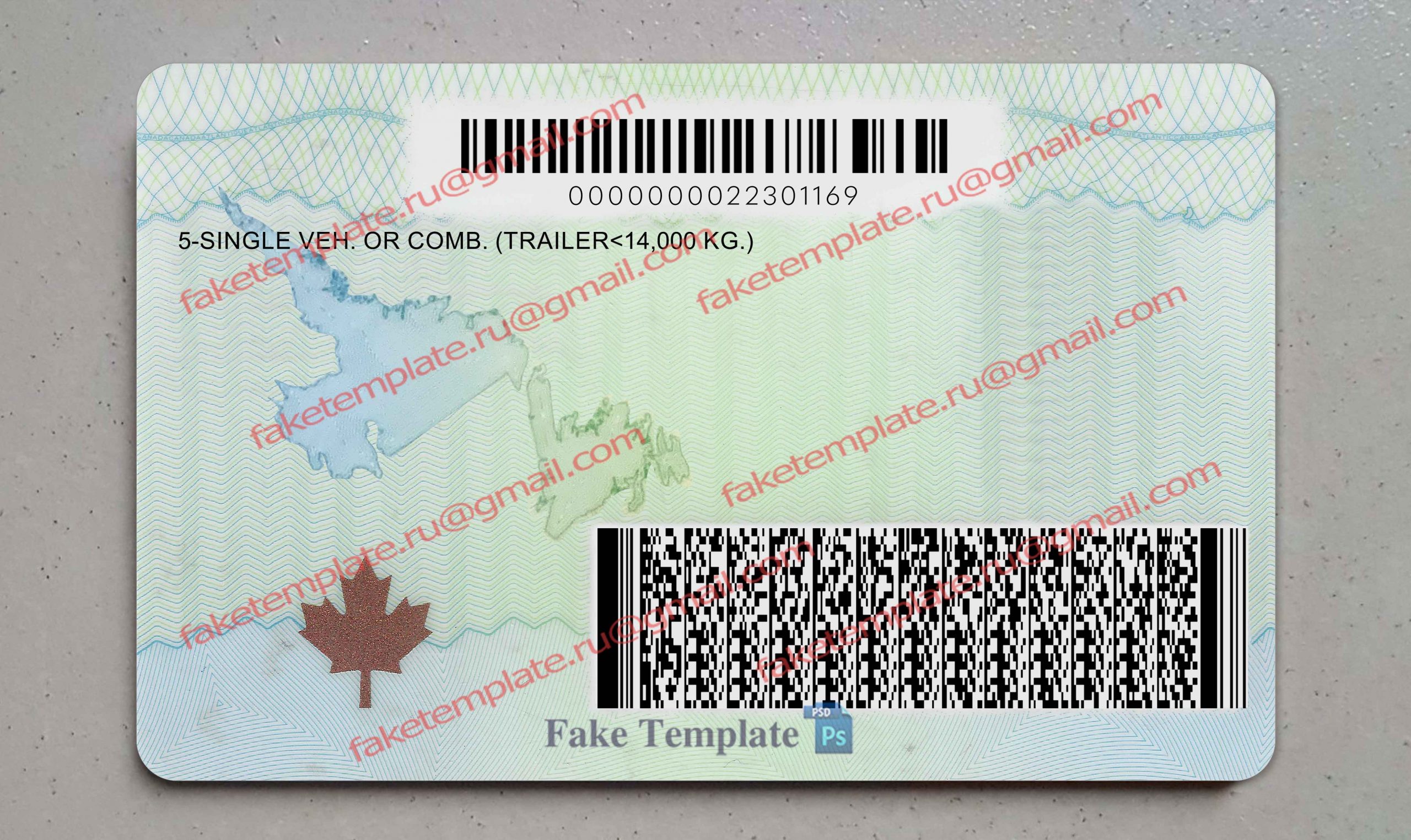 newfoundland driver license back newfoundland driver license back