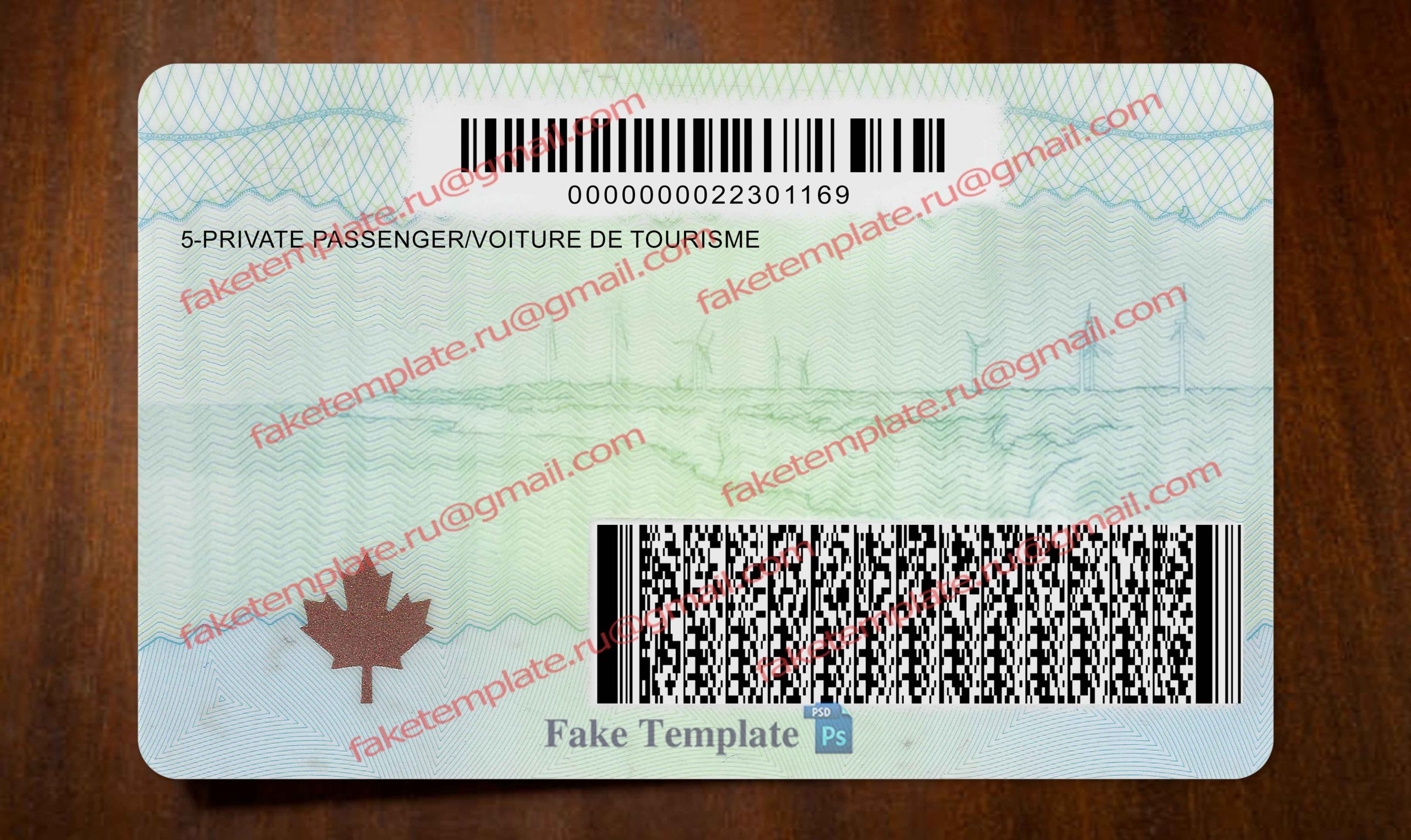 pe driver license back pe driver license back