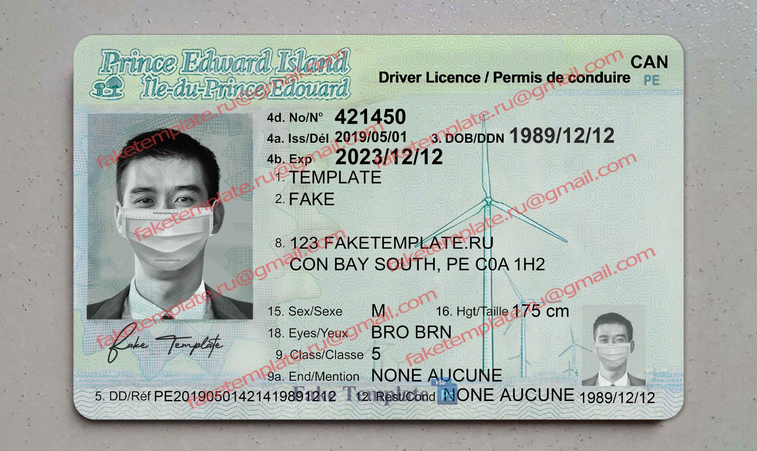 prince edward island driver license template prince edward island driver license template